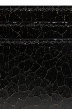 Alexander McQueen CZARNY Etui na karty