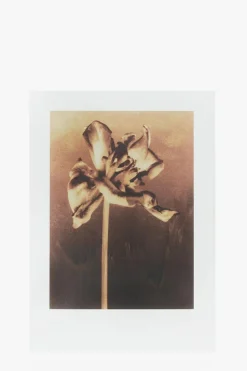 AllSaints BIAŁY Woda perfumowana ‘Sunset Riot’