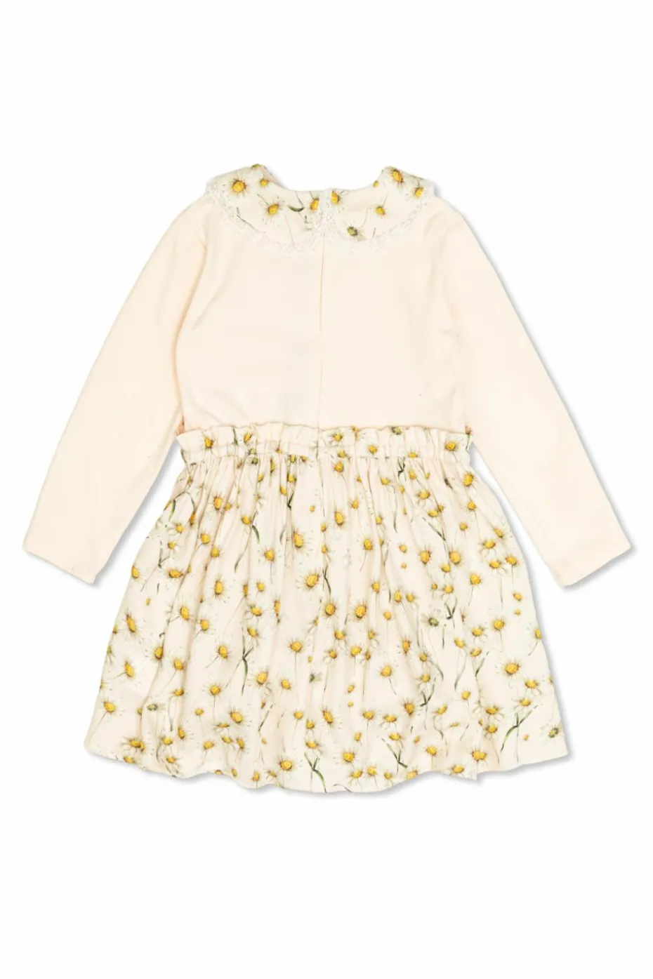 Dolce & Gabbana Kids kremowy Sukienka z motywem kwiatowym