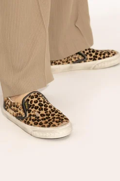 Golden Goose beżowy Buty sportowe `VCE Penstar`