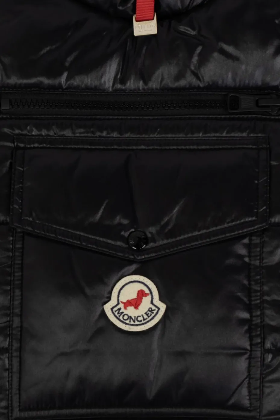 Moncler Genius CZARNY Kamizelka dla psa
