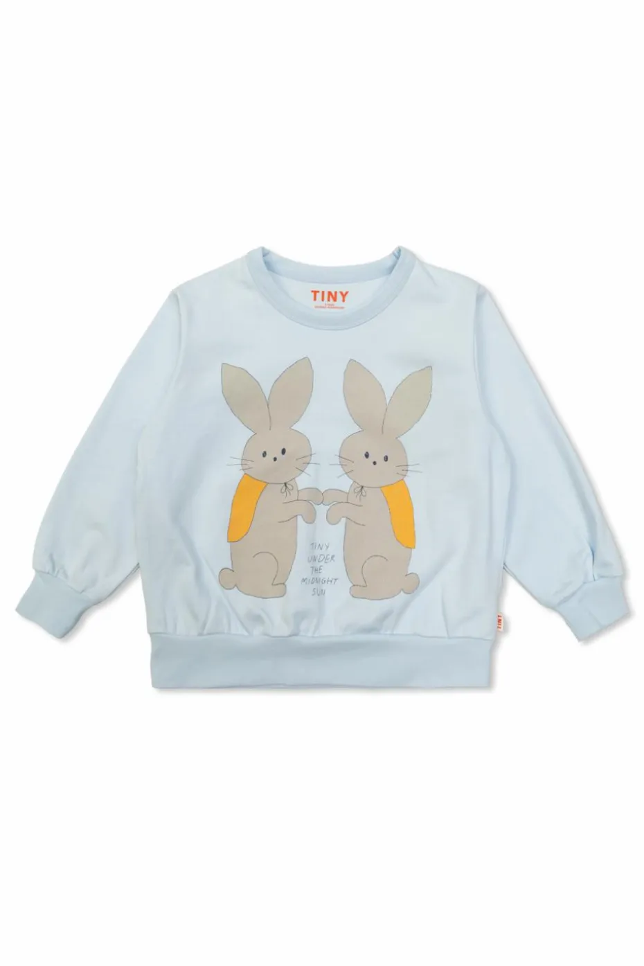 Tinycottons jasnoniebieski Bluza z nadrukiem