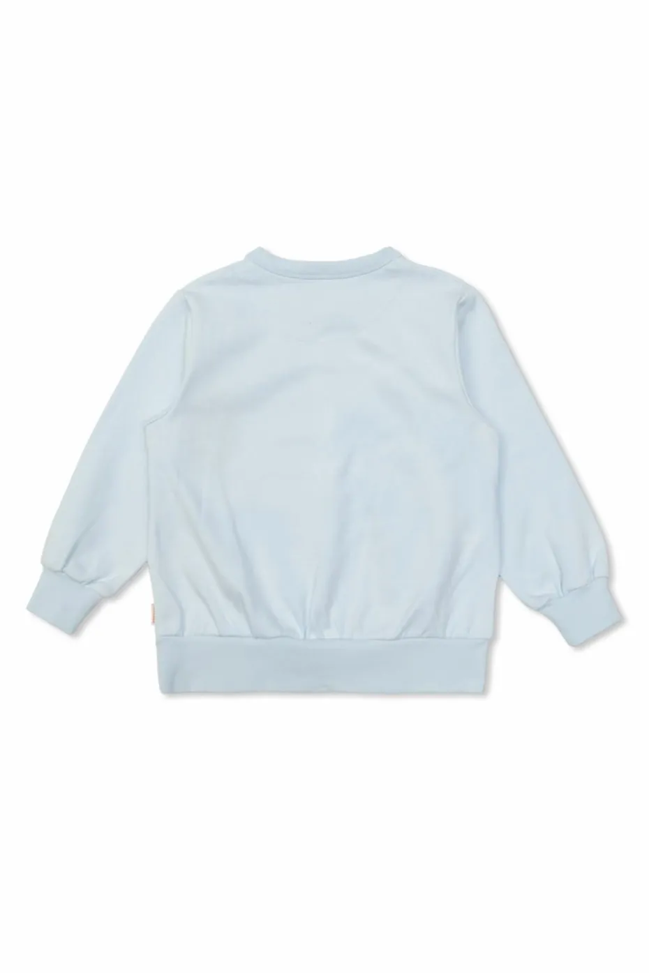 Tinycottons jasnoniebieski Bluza z nadrukiem